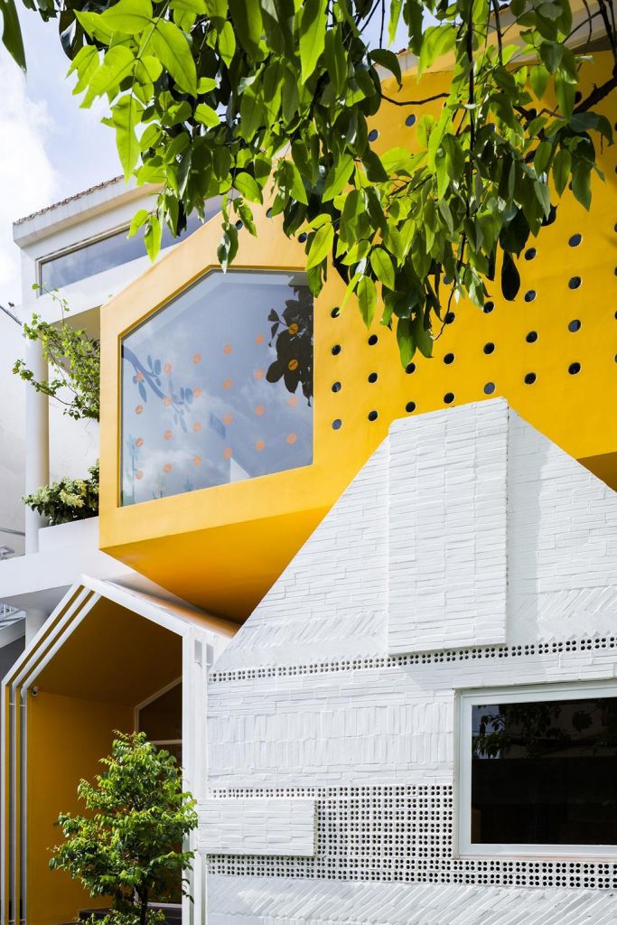 truong-mam-non-chuon-chuon-kim-02